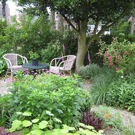 B&B De Esdoorn Norg Екстериор снимка