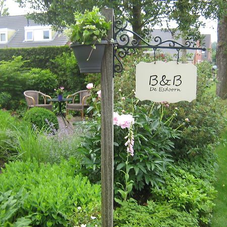 B&B De Esdoorn Norg Екстериор снимка