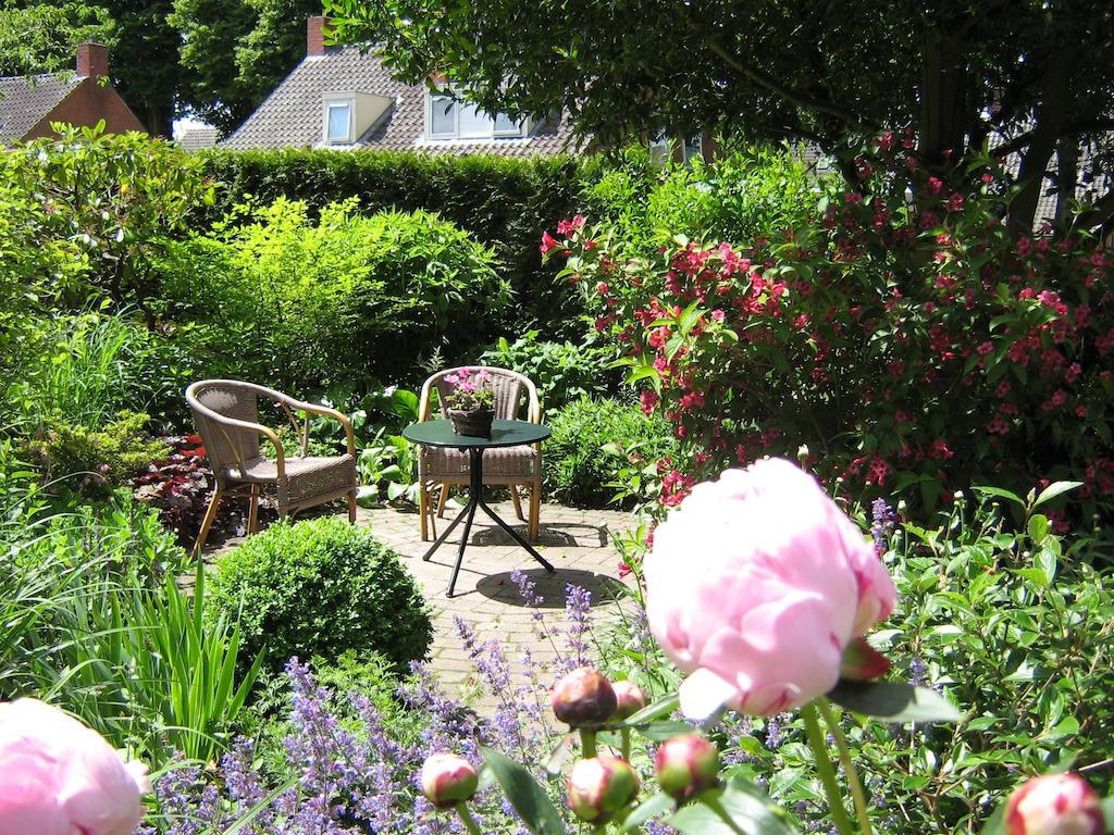 B&B De Esdoorn Norg Екстериор снимка
