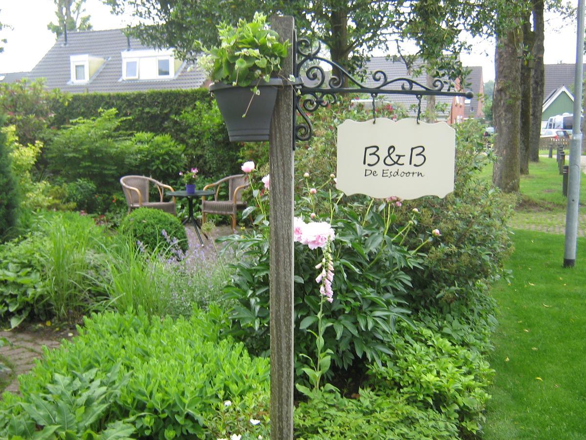 B&B De Esdoorn Norg Екстериор снимка